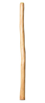 Medium Size Natural Finish Didgeridoo (TW1725)